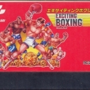 Exciting Boxing