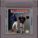 Bo Jackson's Hit and Run! Baseball and Football