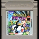 Amazing Penguin