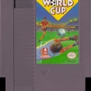 Nintendo World Cup