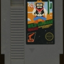 Wild Gunman