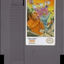 Ninja Crusaders