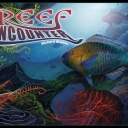 Reef Encounter (2004)