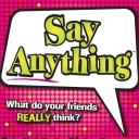 Say Anything (2008)