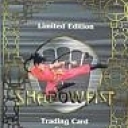 Shadowfist (1995)