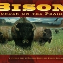 Bison: Thunder on the Prairie (2006)