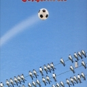 Millionen von Schwalben (2006)