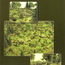 Blitzkrieg Commander (2004)