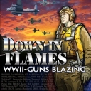 Down in Flames: WWII-Guns Blazing (2010)