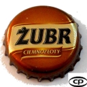 Zubr