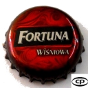 Fortuna Wisniowa