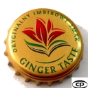 Ginger Taste
