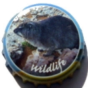 Wildlife