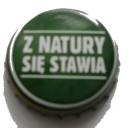 Zubr z natury się stawia