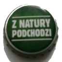 Zubr z natury podchodzi