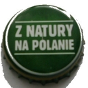Zubr z natury na polanie