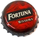 Fortuna Wisniowa