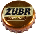 Żubr
