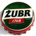 Żubr