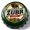 Żubr