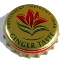 GINGER TASTE