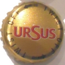 Ursus