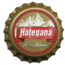 Haţegana