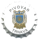 Trnavan Ležiak Svetlý 12%