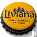 Fuente Liviana