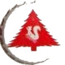 Veri