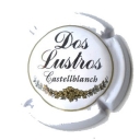 Dos Lustros
