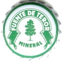 Fuente de Teror