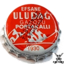 Uludag Gazozu Portakalli