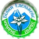 White edelweiss