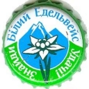 White edelweiss