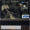 Visa Platinum