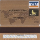 Visa Business