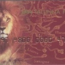 Lion 1