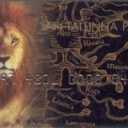 Lion 2