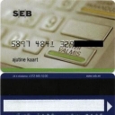 Temporary Card (lighter green)