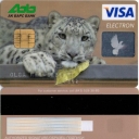 Ak Bars Bank Visa chip