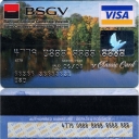 Visa Classic
