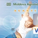 Avanti 1