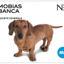 Taxa