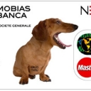 Taxa