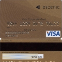 Visa Corporate Gold 