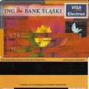 Visa Electron