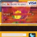 Visa Electron