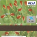 Tulipanes