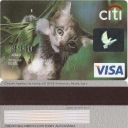 Citi-gato